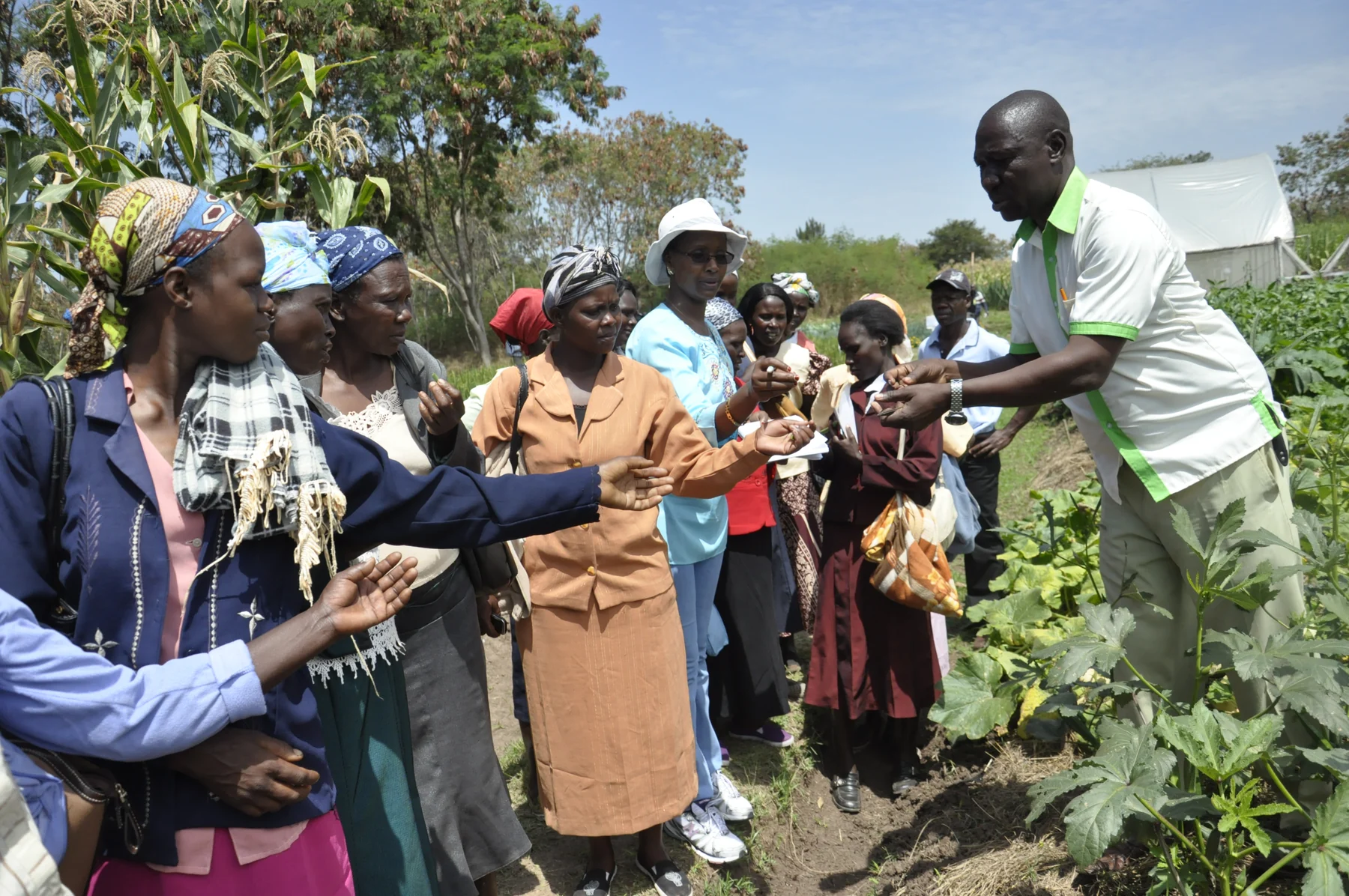Women farmers from the Nyando region examine crops with an agricultural adviser at the Kisumu fair in Kenya.