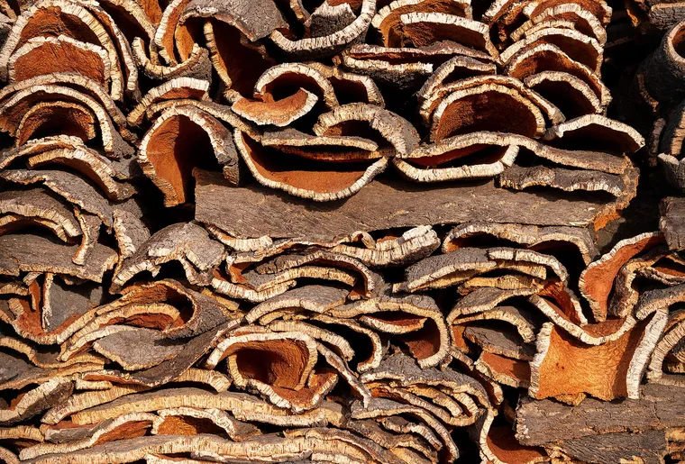 Stacked cork oak bark in Ponte de Sor, Portugal.