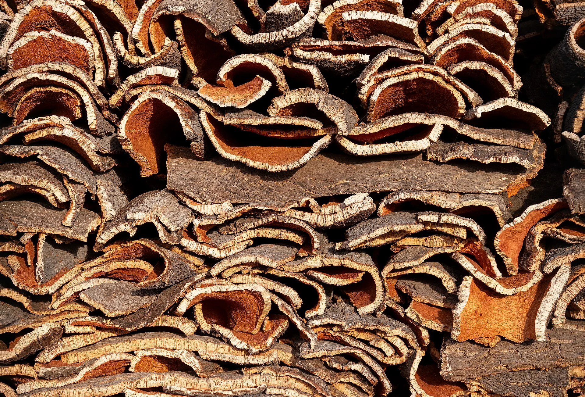 Stacked cork oak bark in Ponte de Sor, Portugal